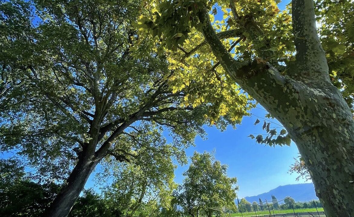 Photo of Outdoor in Aubagne