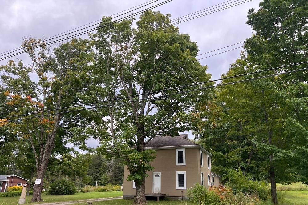 Photo of Others in Brighton