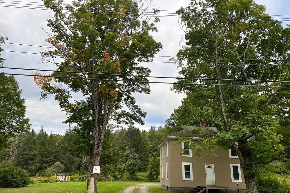 Photo of Others in Brighton