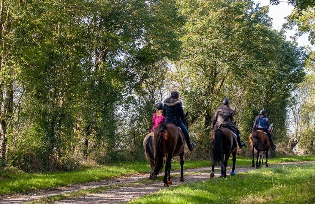 Photo of Outdoor in Cisai-Saint-Aubin