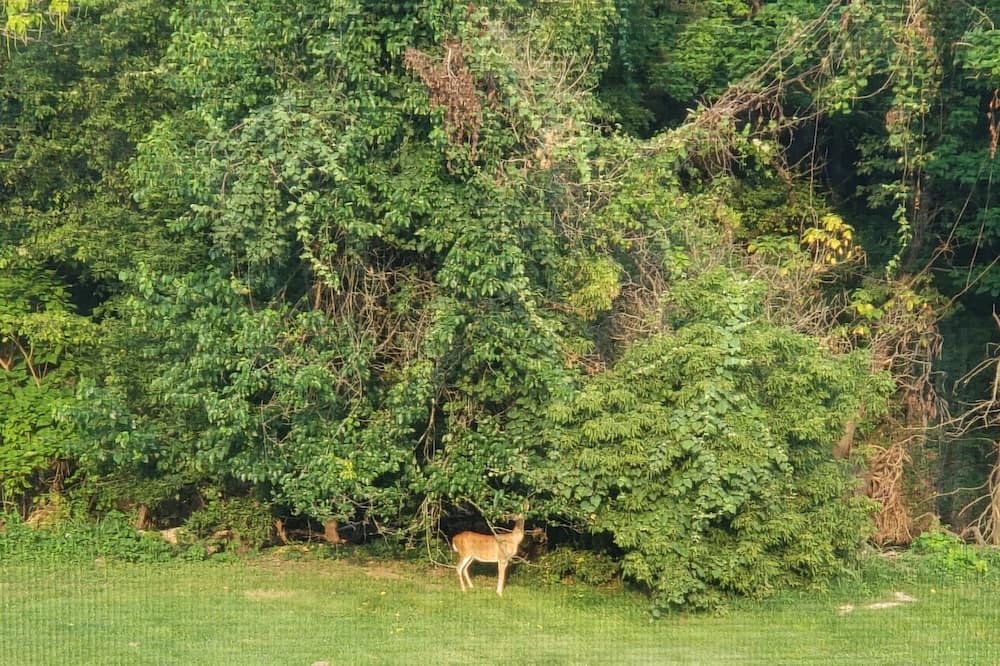 Photo of Outdoor in Hermann