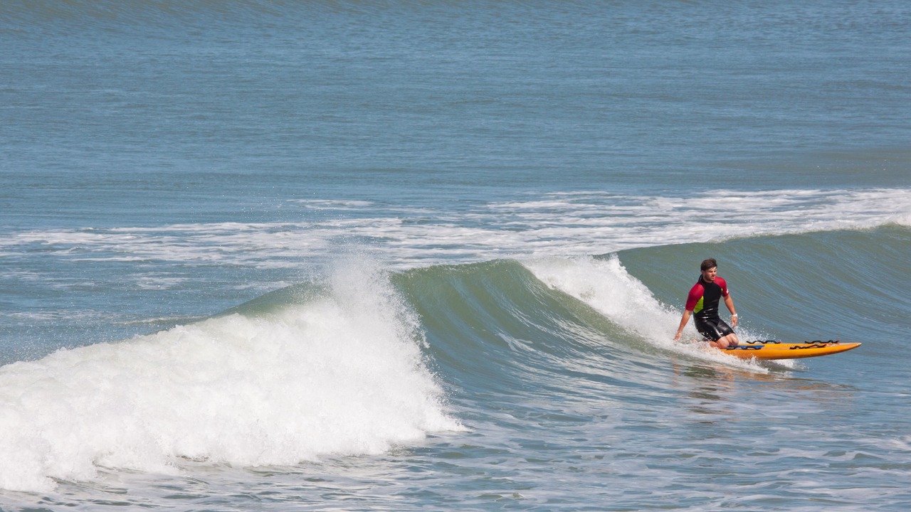 Photo of Others in Hele