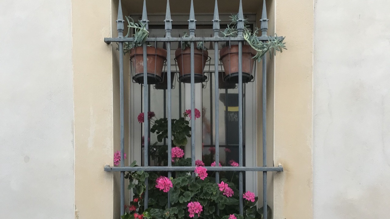 Photo of Outdoor in Les Beaux-Arts