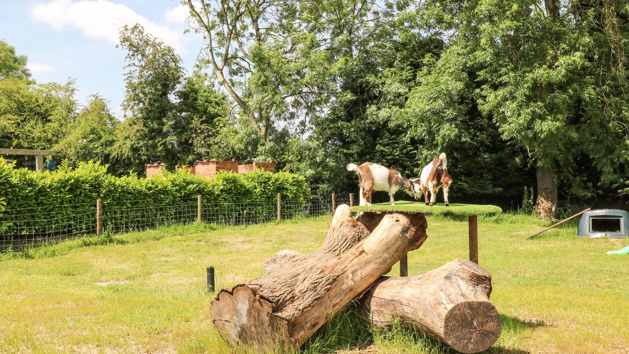 Photo of Others in Fulford