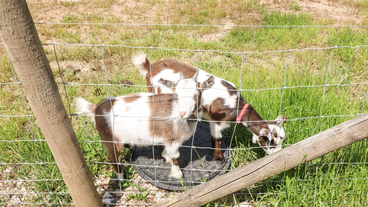 Photo of Others in Fulford