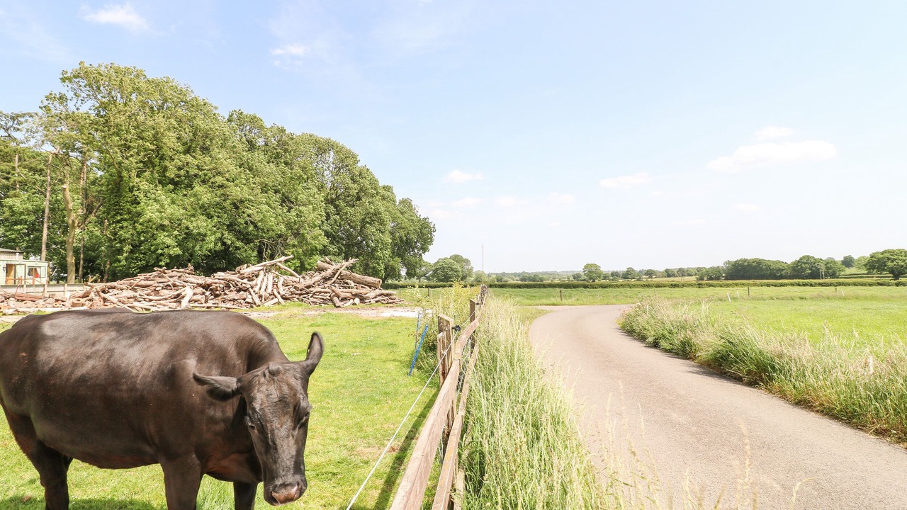 Photo of Others in Fulford