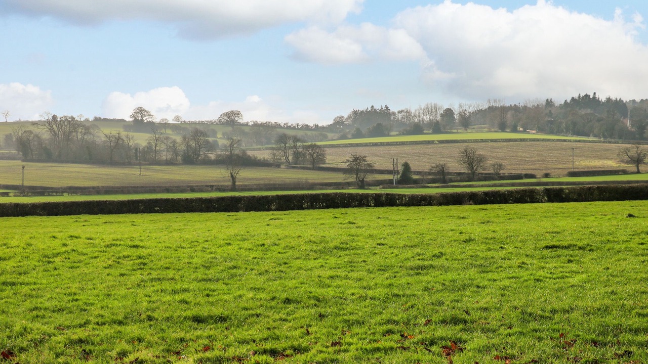 Photo of Others in Fulford