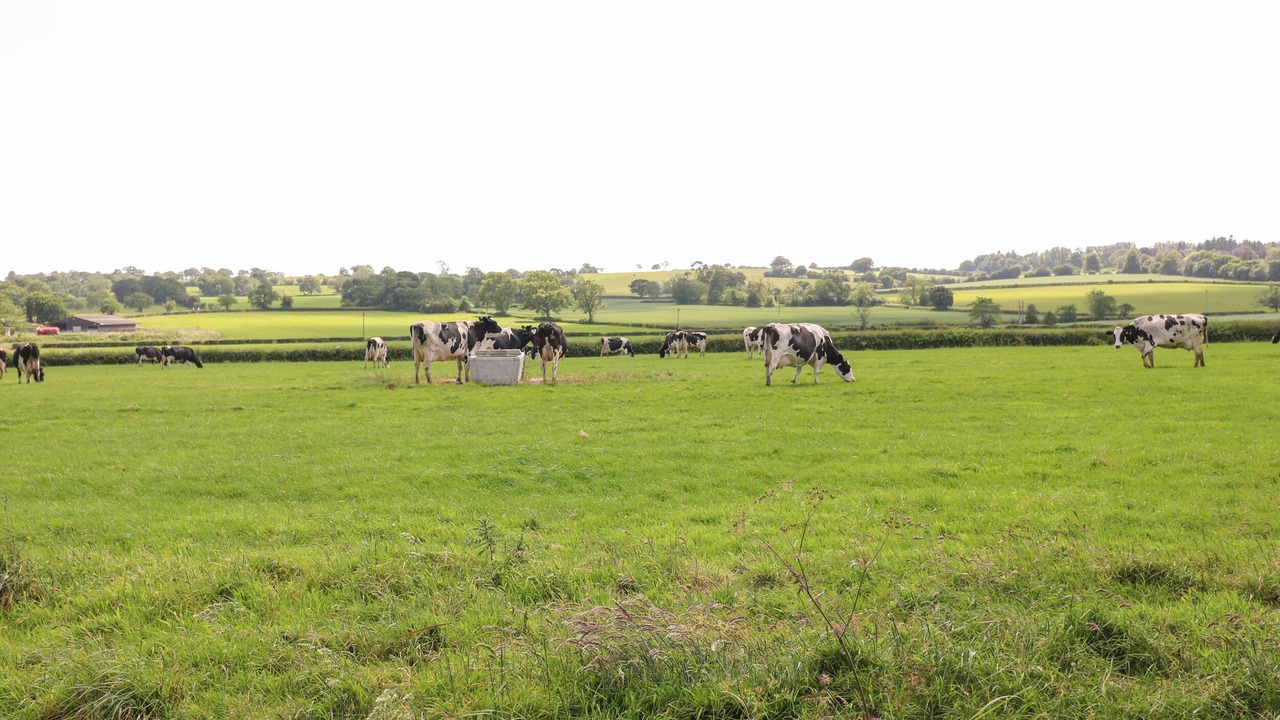 Photo of Others in Fulford