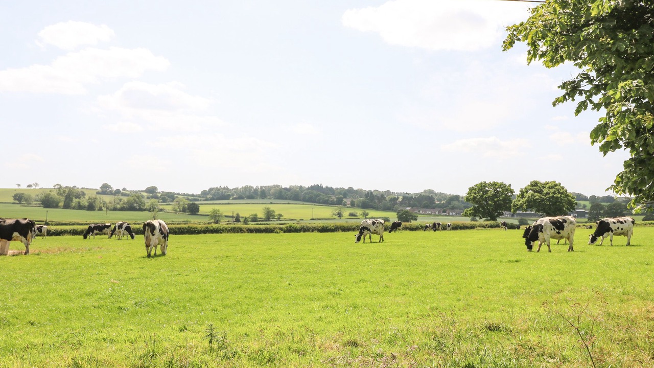 Photo of Others in Fulford