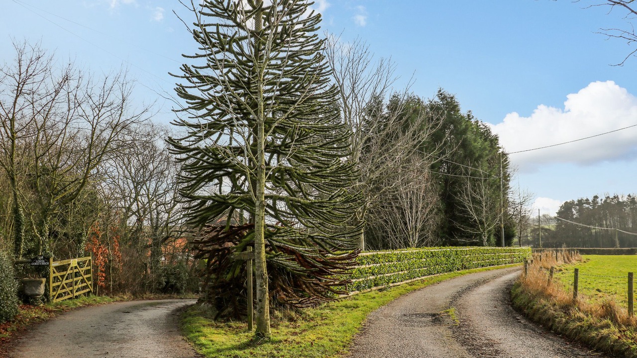 Photo of Others in Fulford