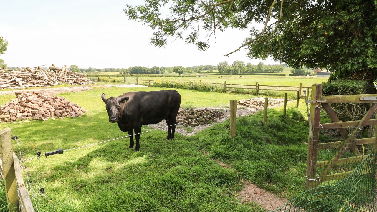 Photo of Others in Fulford