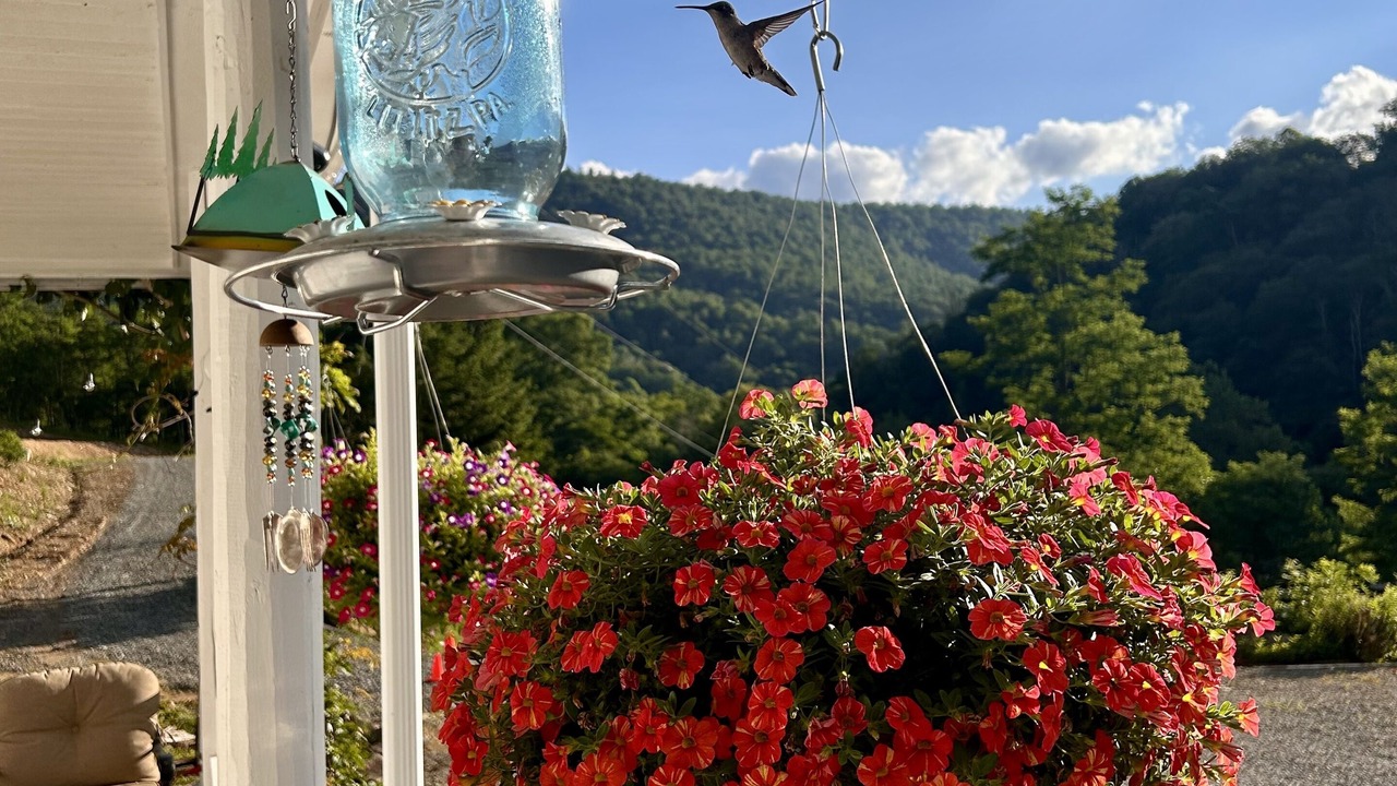 Photo of Patio Balcony in Slaty Fork