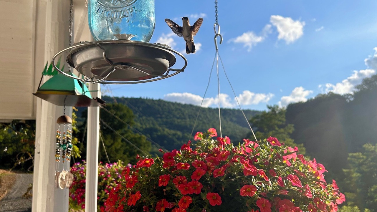 Photo of Patio Balcony in Slaty Fork