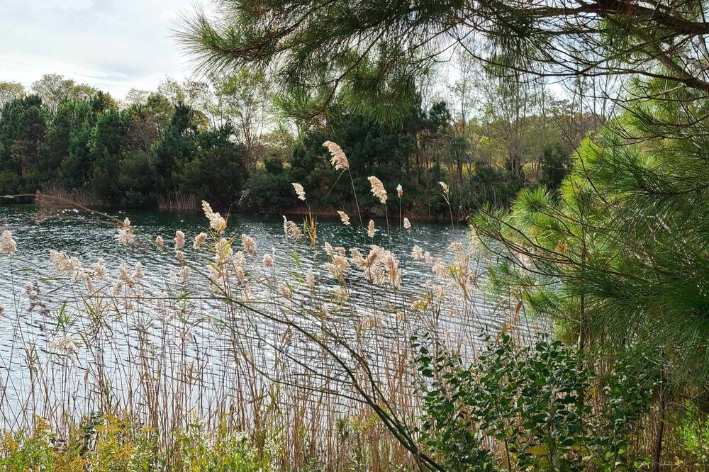 Photo of Others in Cape Charles