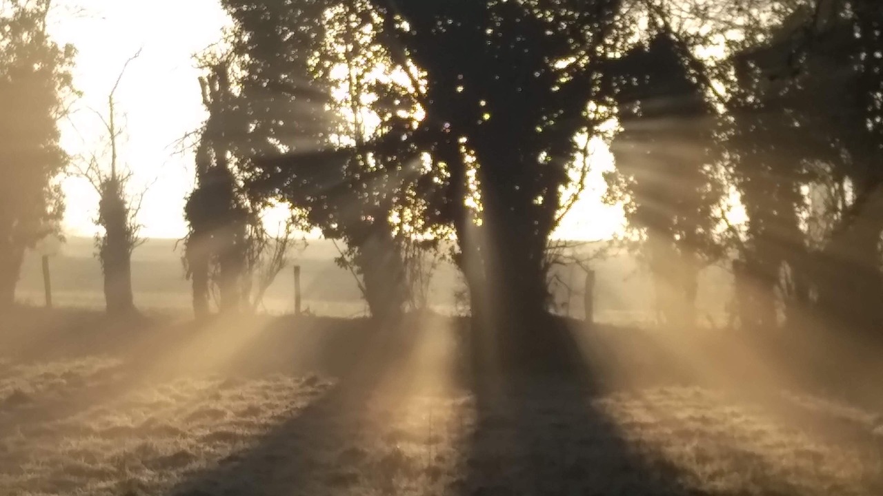 Photo of Outdoor in Rouperroux