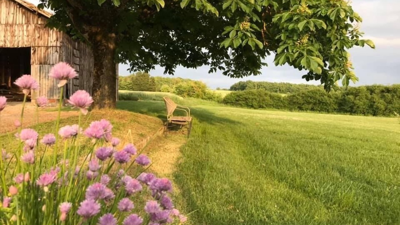 Photo of Outdoor in Savignac-sur-Leyze