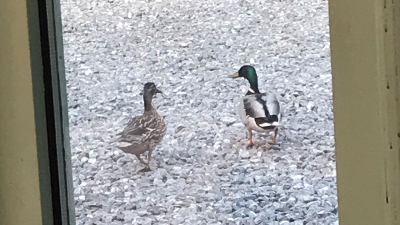 Photo of Outdoor in Blair Atholl