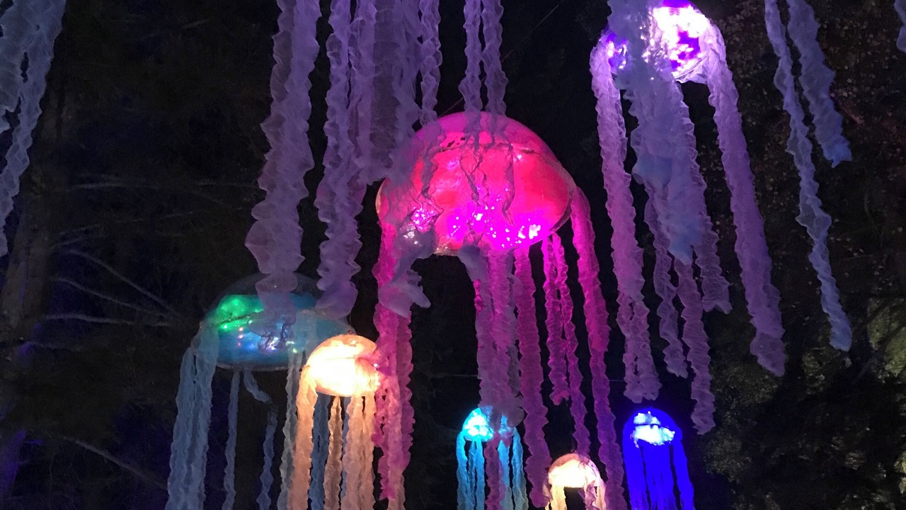 Photo of Others in Blair Atholl