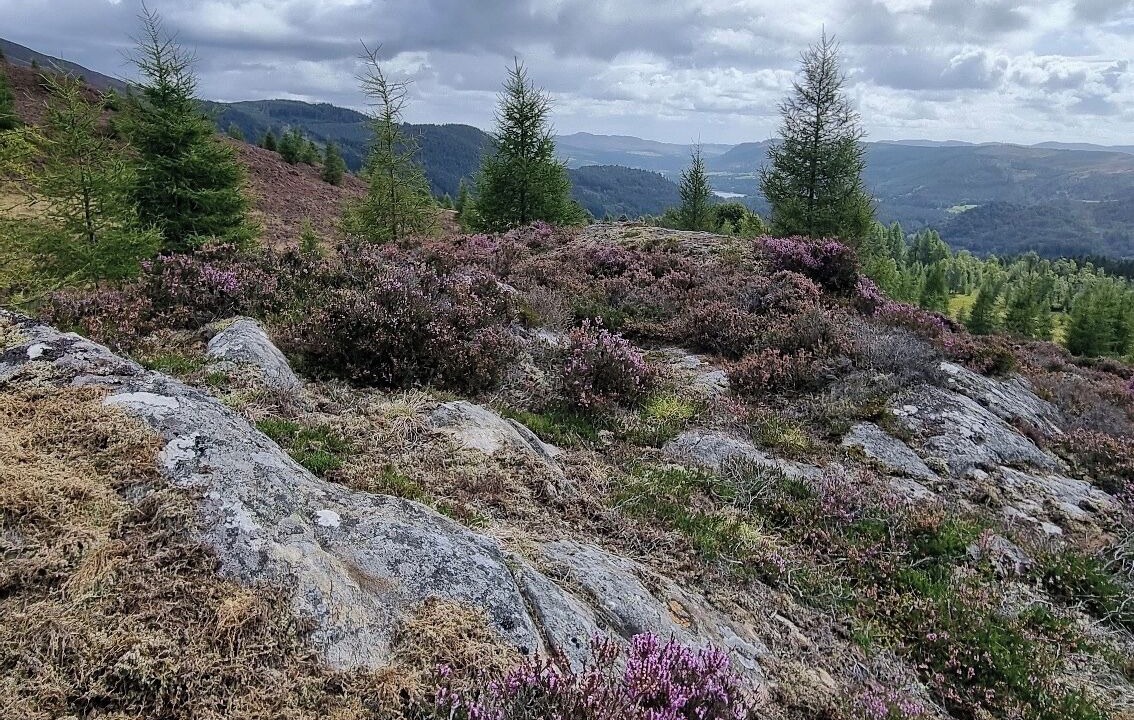 Photo of Outdoor in Blair Atholl