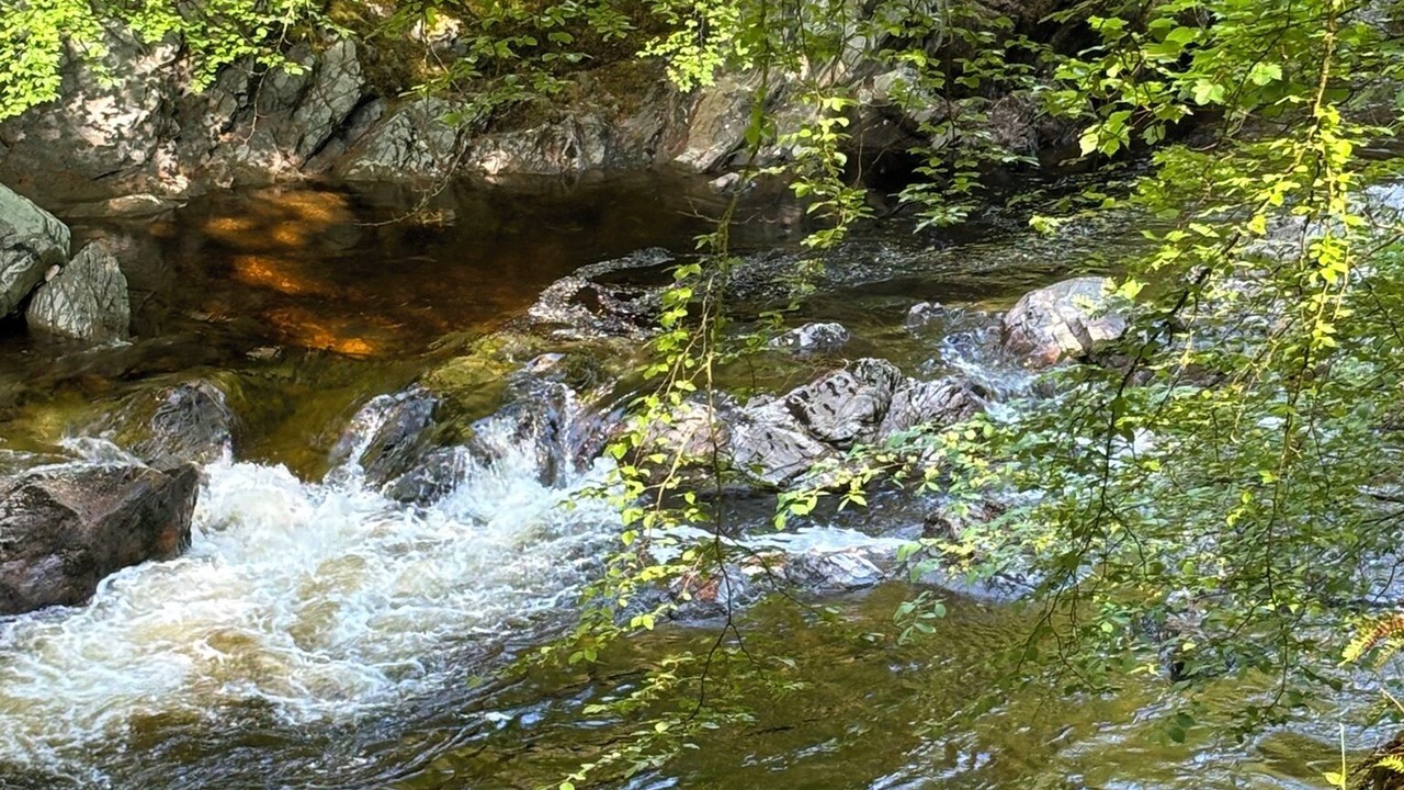 Photo of Others in Blair Atholl