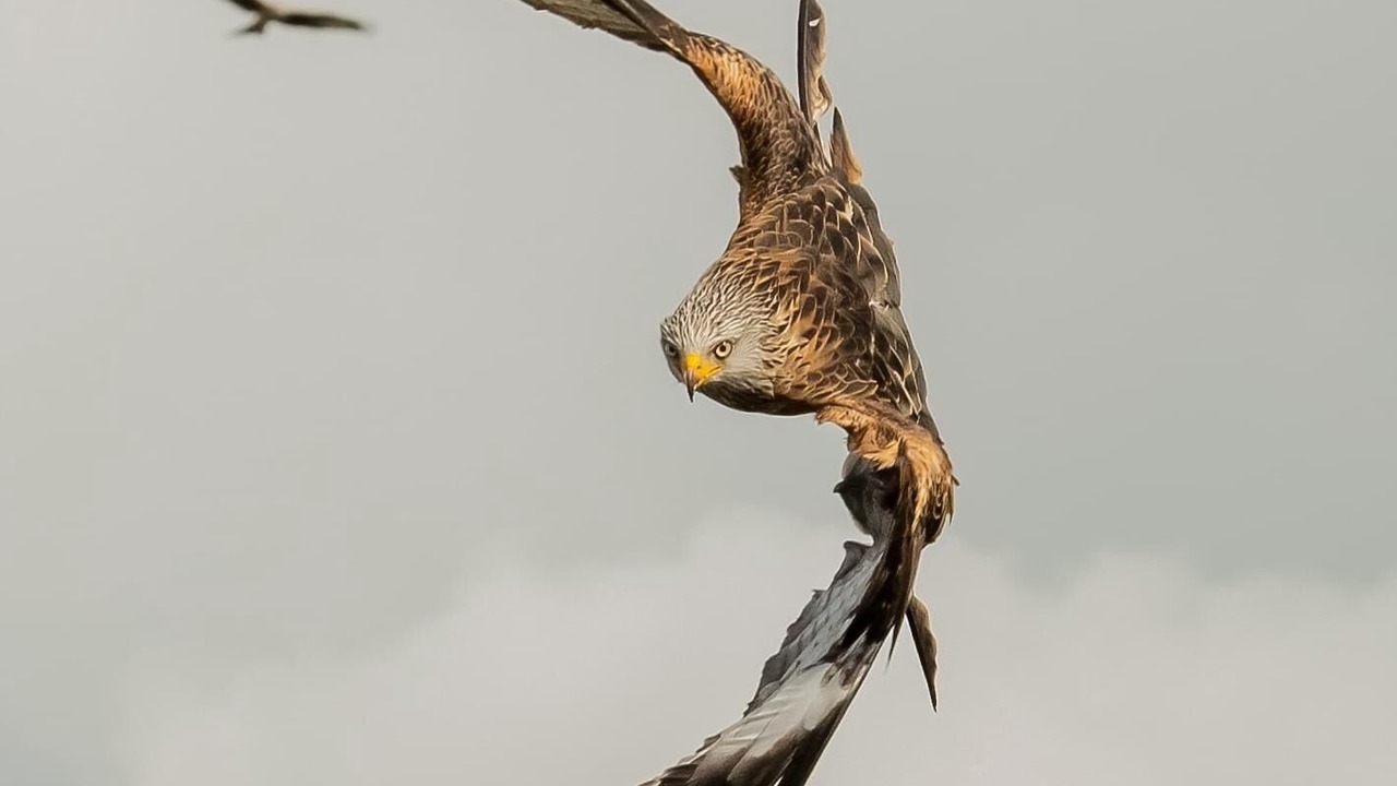 Photo of Others in Blair Atholl