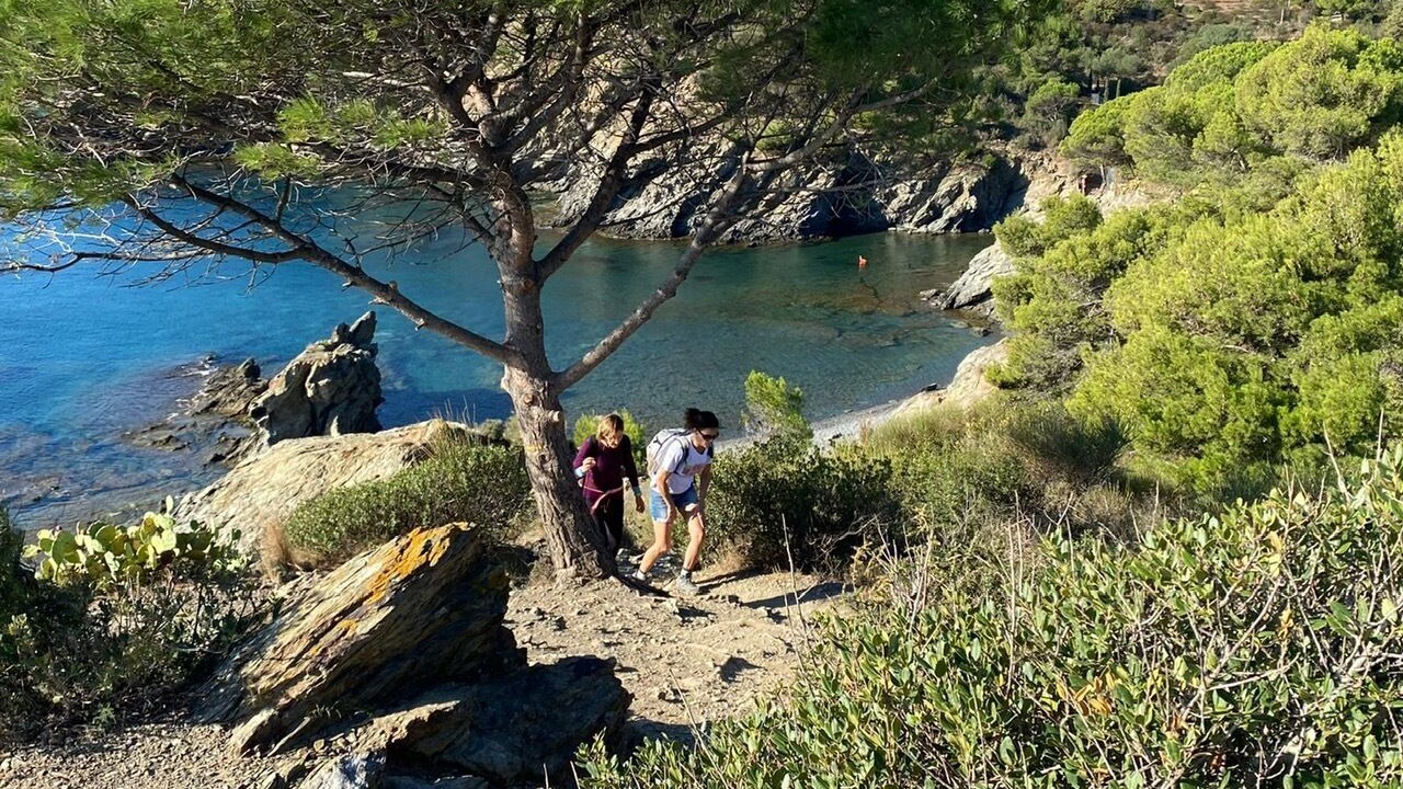 Photo of Others in Banyuls-sur-Mer