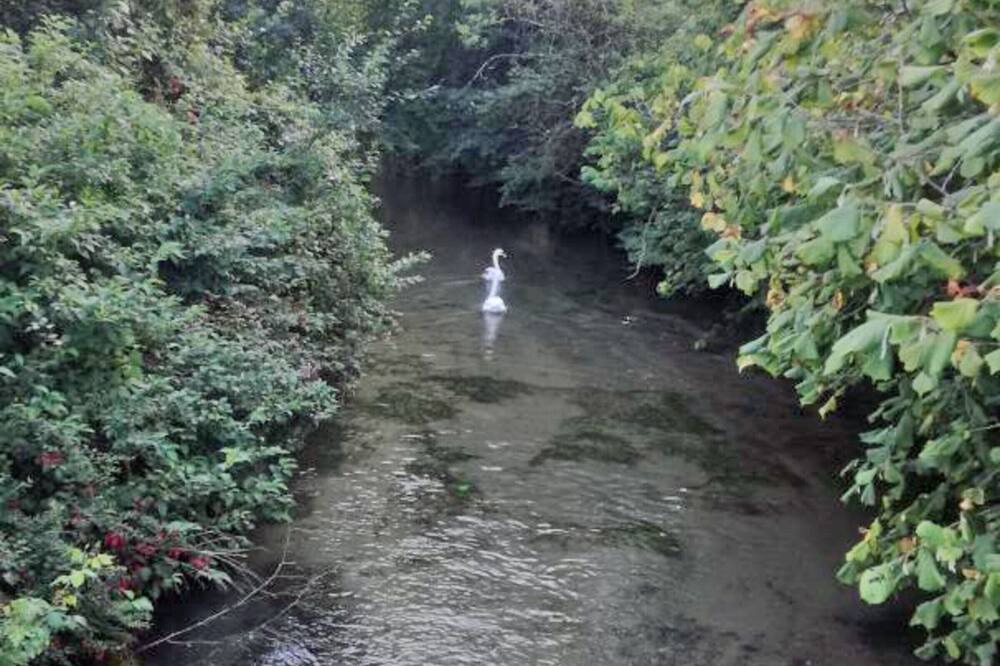 Photo of Outdoor in Vittefleur