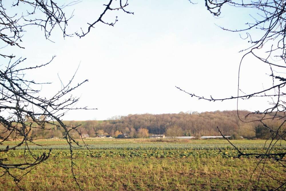 Photo of Outdoor in Vittefleur