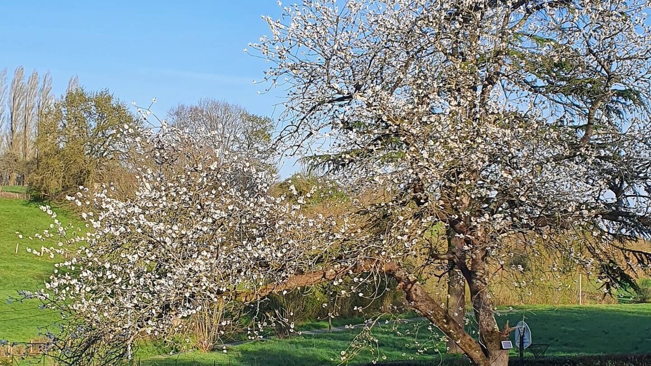 Photo of Outdoor in Rouillon