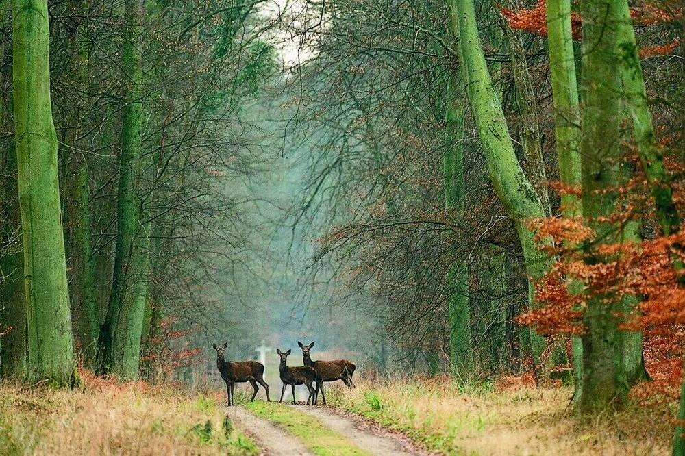 Photo of Outdoor in Fretoy-le-Chateau