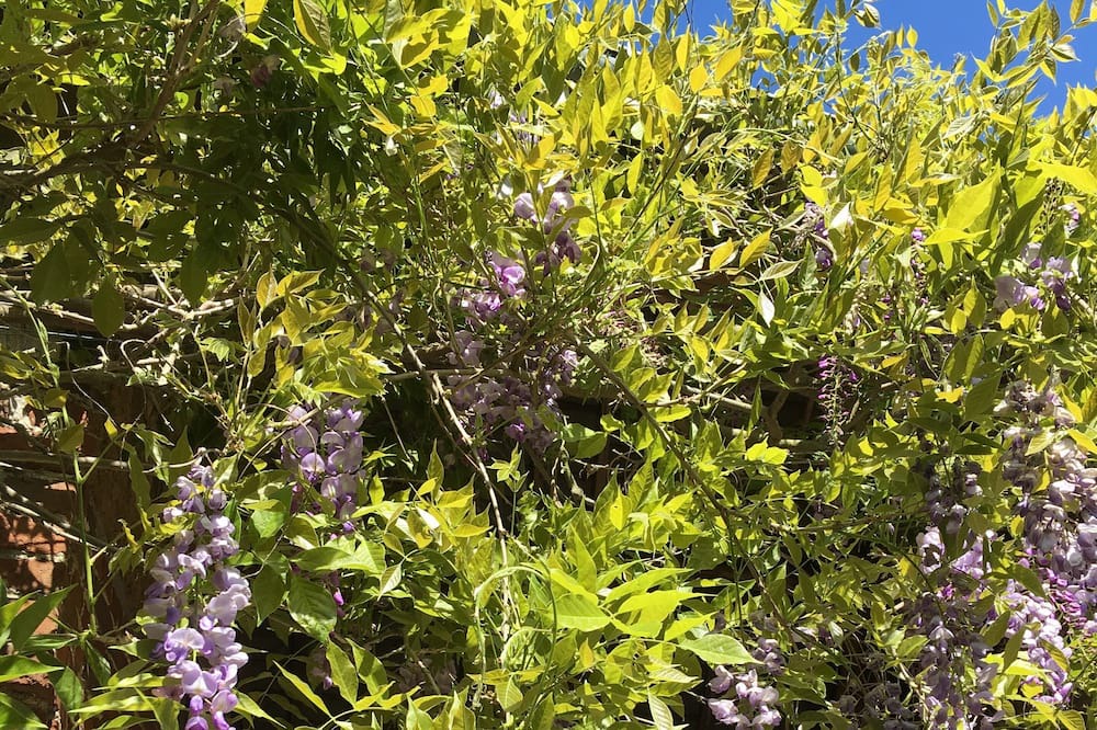 Photo of Outdoor in Fretoy-le-Chateau