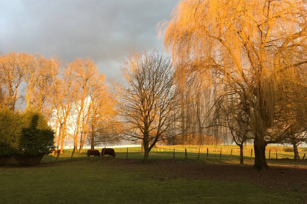 Photo of Outdoor in Fretoy-le-Chateau