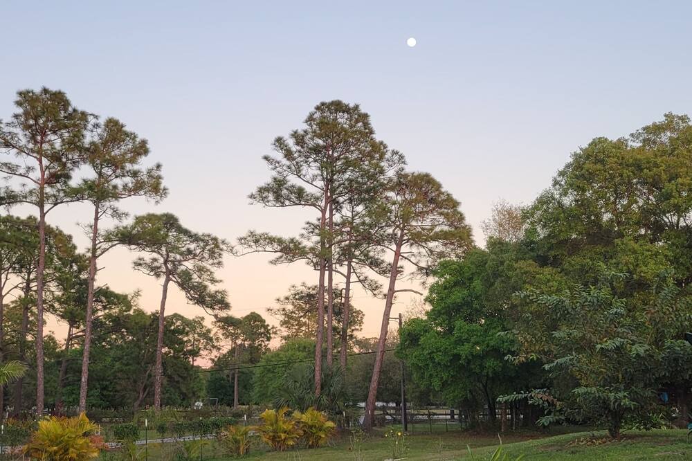 Photo of Outdoor in Buckingham