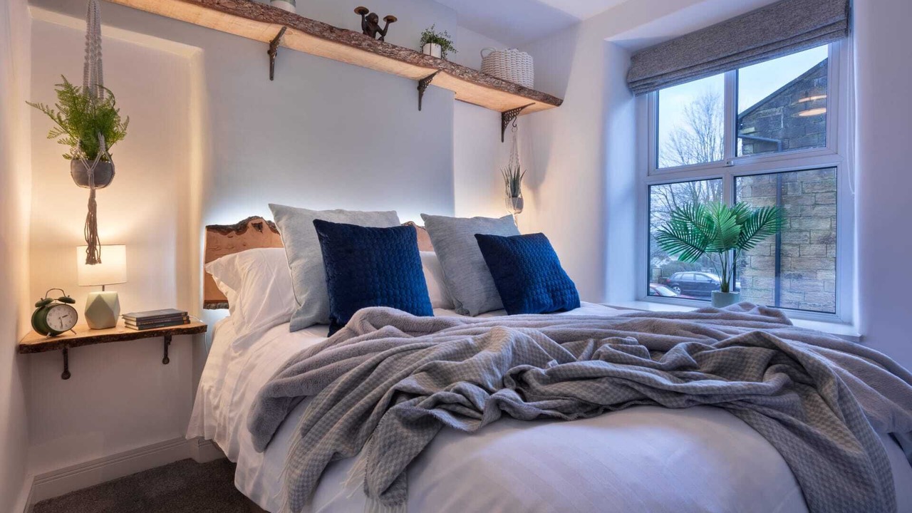 Photo of Others in Nelson