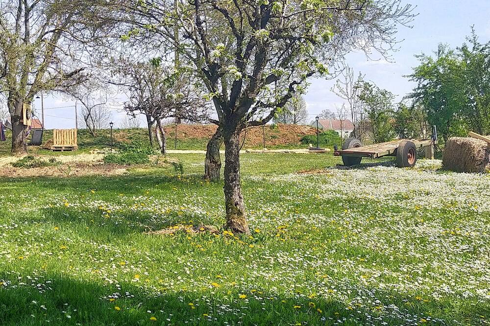 Photo of Outdoor in Savoisy