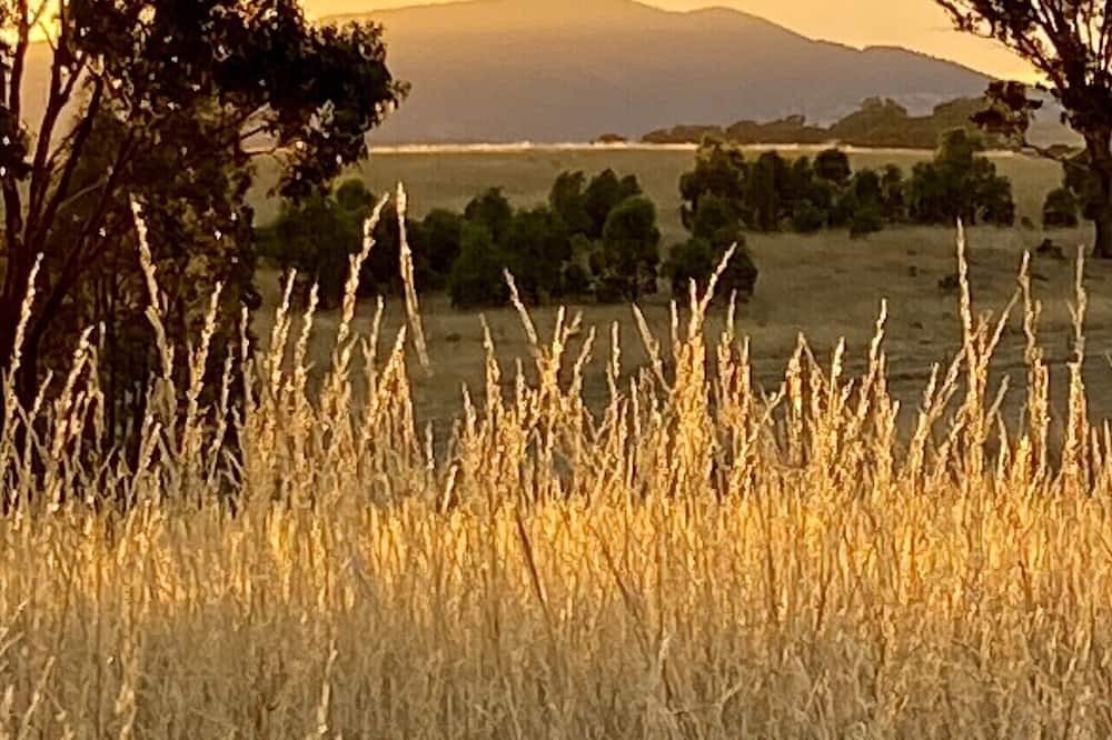 Photo of Outdoor in Glenaroua