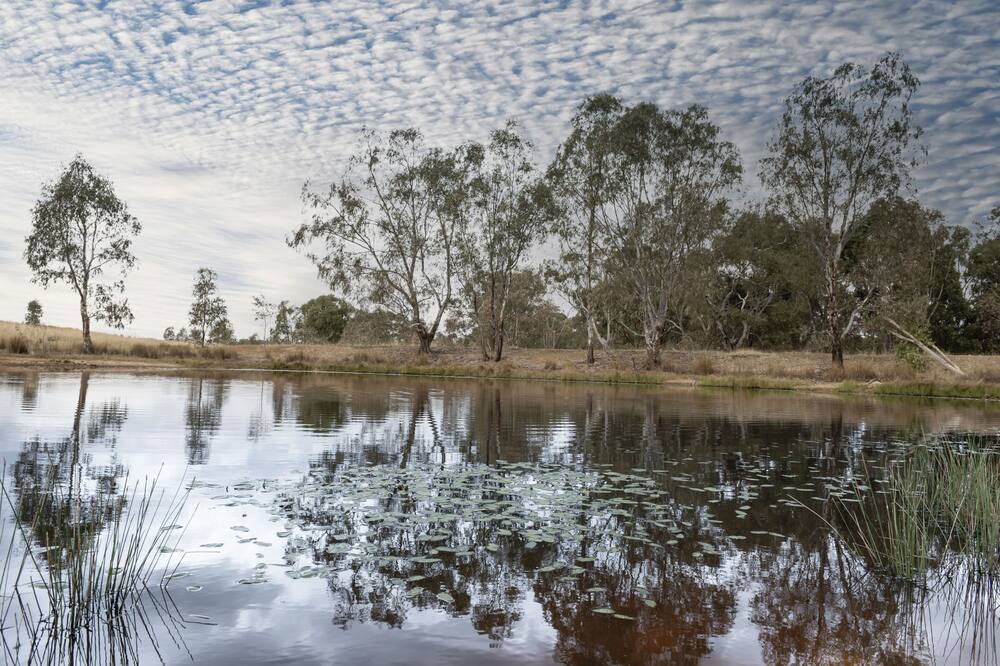 Photo of Outdoor in Glenaroua