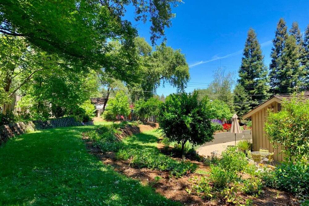 Photo of Outdoor in Carmichael
