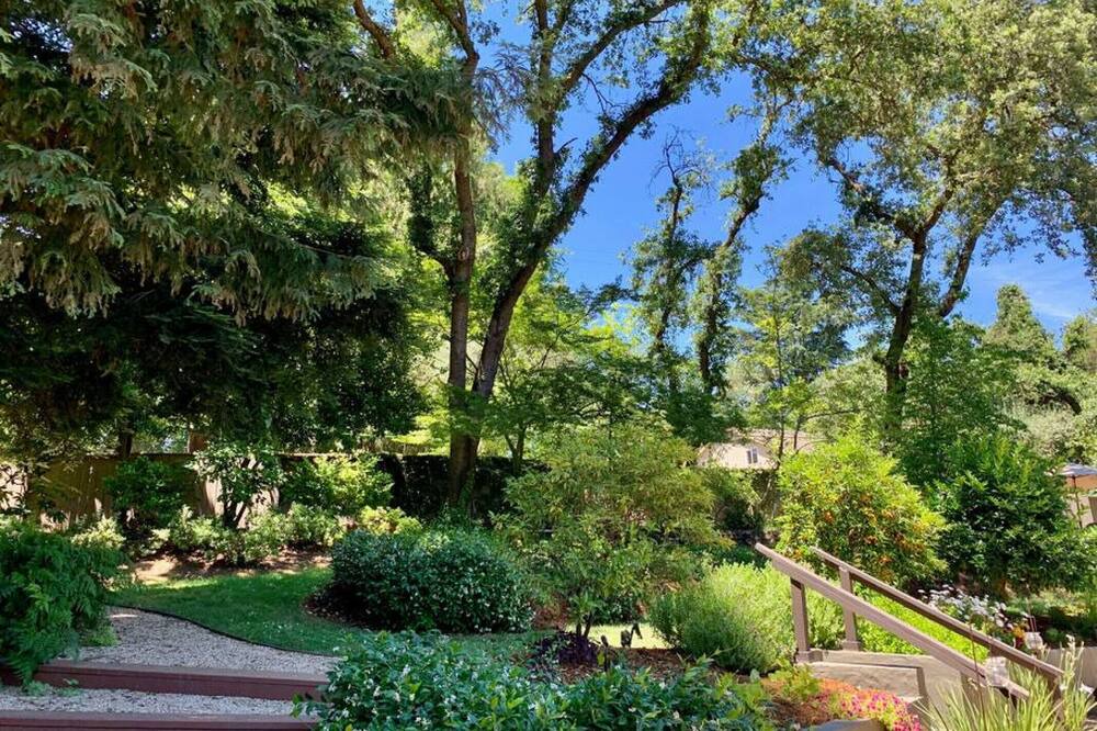 Photo of Outdoor in Carmichael