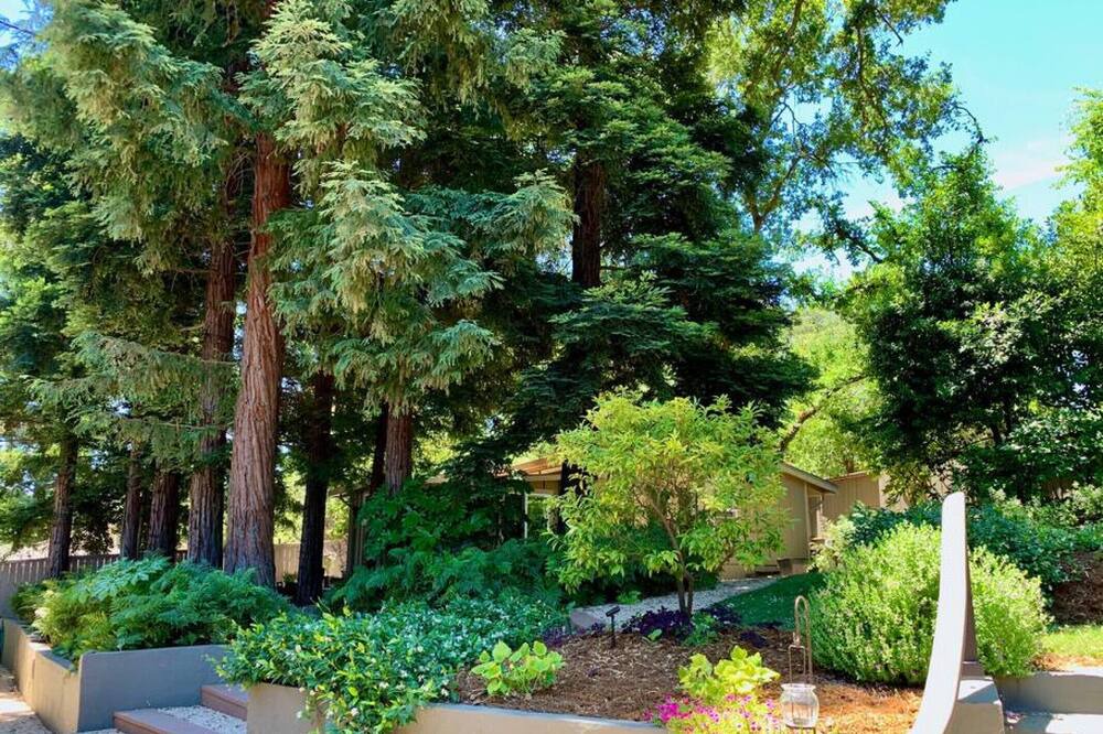 Photo of Outdoor in Carmichael