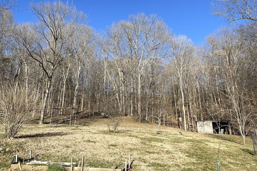 Photo of Outdoor in Whites Creek