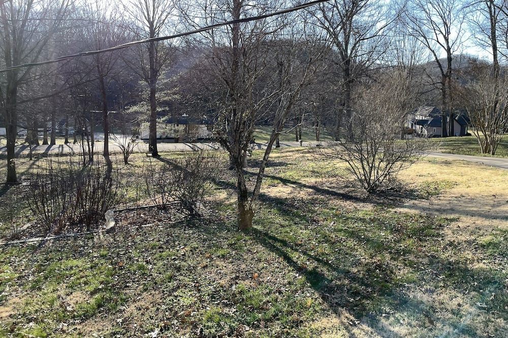 Photo of Outdoor in Whites Creek