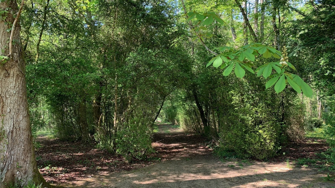 Photo of Outdoor in Reboursin