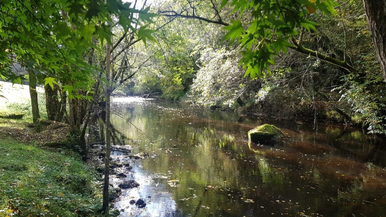 Photo of Outdoor in Saint-Paul-la-Roche