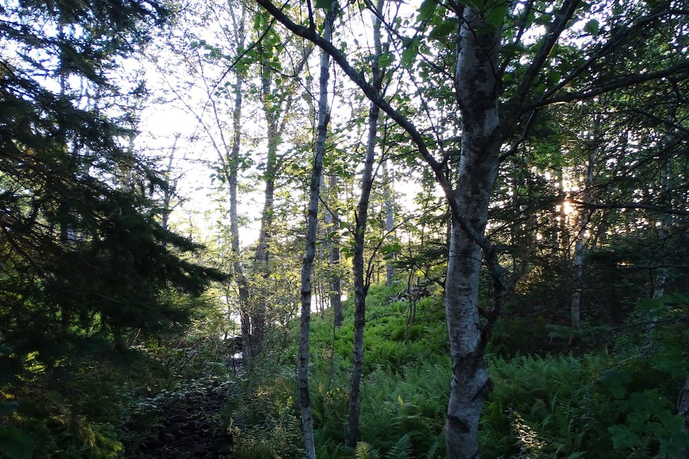 Photo of Outdoor in Mineville