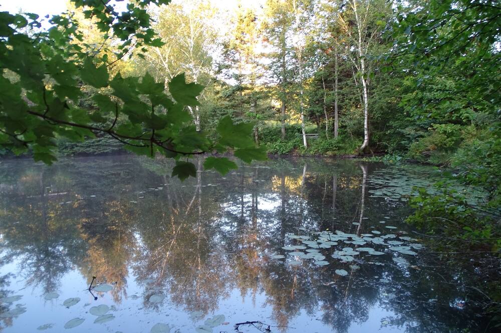Photo of Outdoor in Mineville