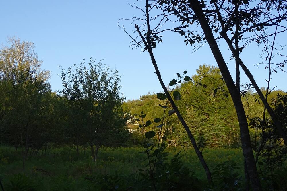 Photo of Outdoor in Mineville
