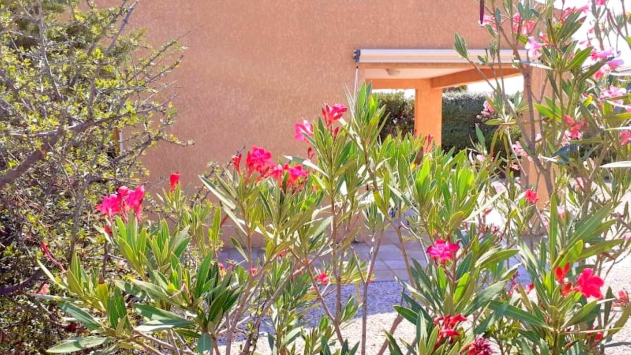 Photo of Outdoor in Fitou