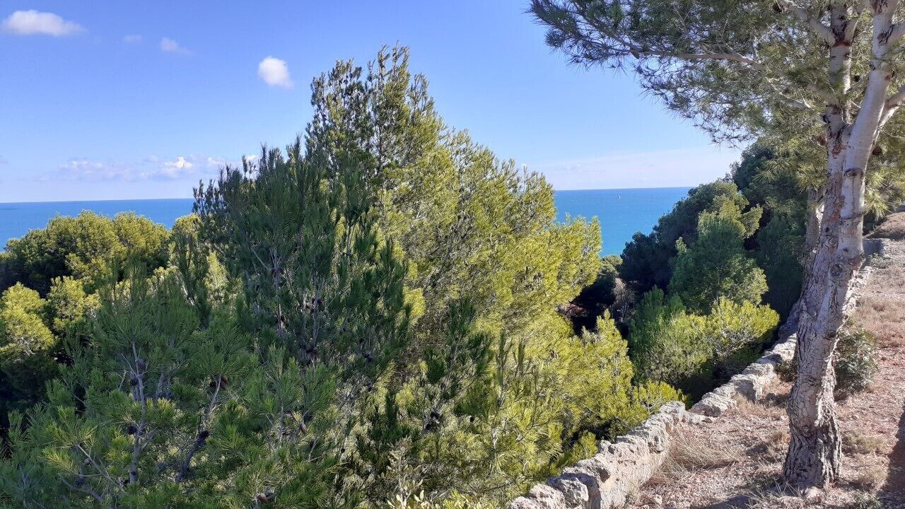 Photo of Outdoor in Fitou