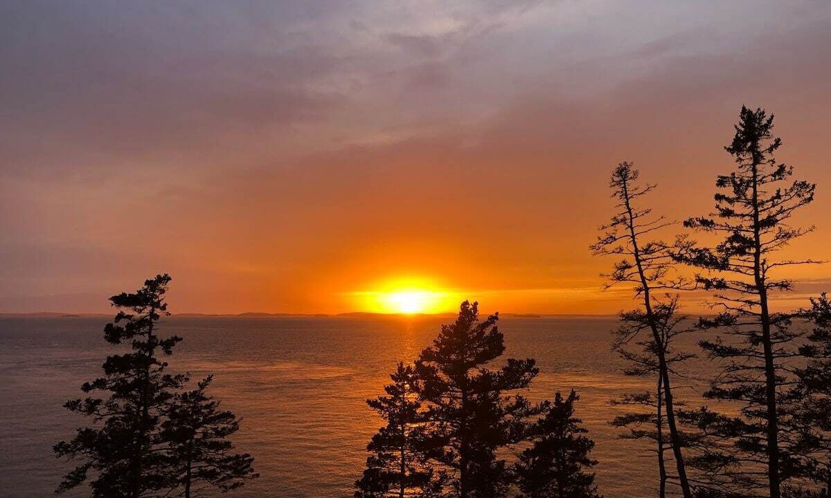 Photo of Others in Minturn